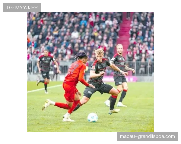 弗赖堡33分逼近欧战区 主场战力成冲击前六重要资本 弗赖堡33分逼近欧战区 主场战力成冲击前六重要资本